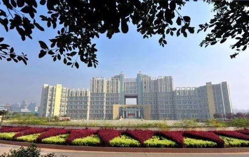 这些事，在江理是不存在的 —— 环境工程篇