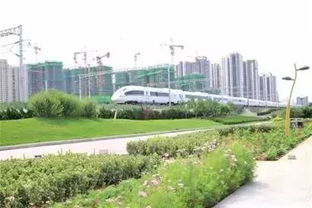 省内首个观海铁路公园要来了，坐着火车看风景不要太赞（李沧又添彩）